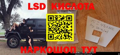 эйфоретик Кимры