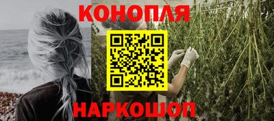 герыч Кингисепп