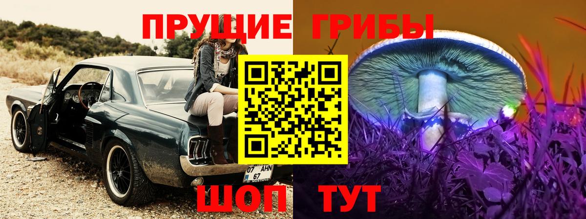Галлюциногенные грибы Psilocybine cubensis Кувандык