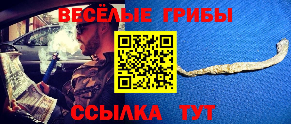 купить наркотик  Псилоцибиновые грибы Magic Shrooms  Вход с VPN  Галлюциногенные грибы мицелий  Кувандык 