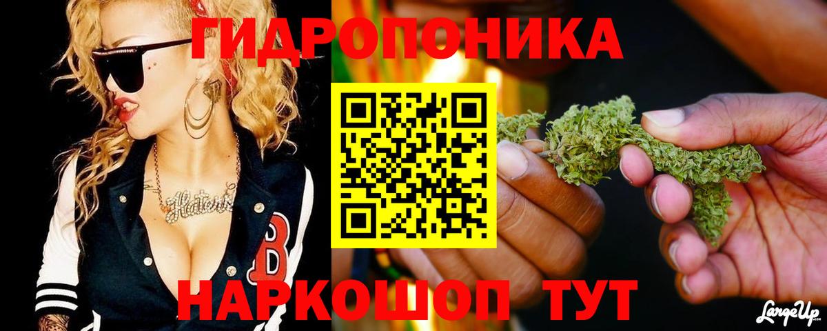 Бошки марихуана MAZAR Кувандык